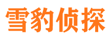 刚察侦探公司